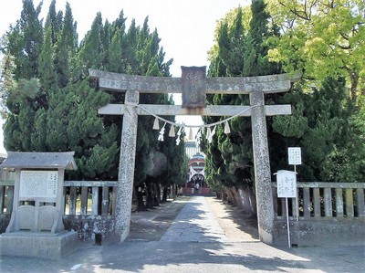 八坂神社の鳥居.jpg