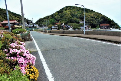 六浦山と季節の花.jpg