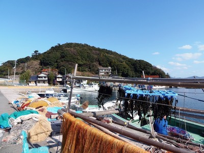 六浦(もーら)とワカメ天日干し.jpg