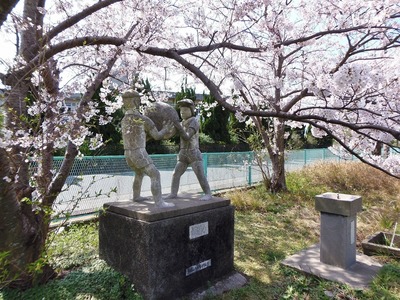 協力の像と桜.jpg