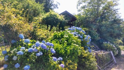 夕日の絶景ポイントと棚田.jpg
