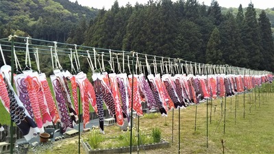 ̃~ĵڂ1.jpg