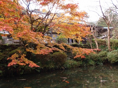 大寧寺本堂と秋色.jpg