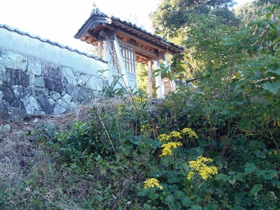 大日比三師本廟の山門と季節の花.jpg