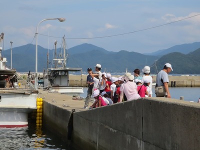 大日比漁港2.jpg