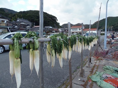 大根の天日干し2.jpg