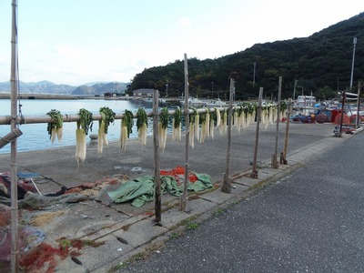 大根の天日干し3.jpg