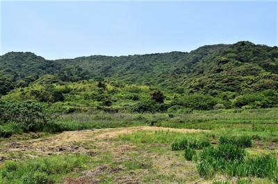 大焼けの山.jpg