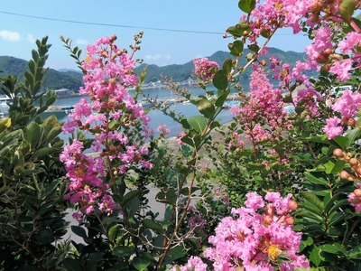 季節の花.jpg