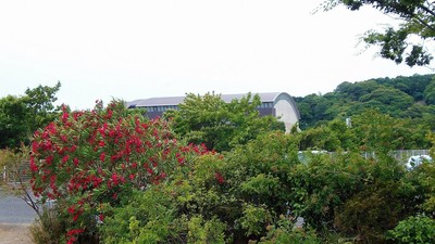季節の花1.jpg