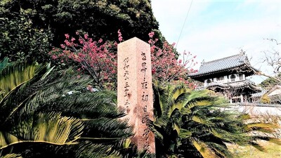 季節の花2.jpg