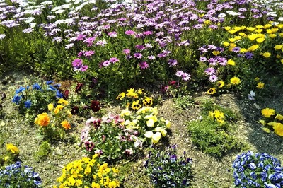 季節の花3.jpg