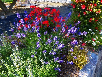 季節の花3.jpg