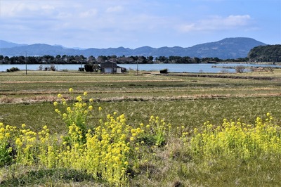 季節の花6.jpg