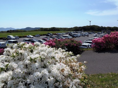 季節の花と駐車場.jpg