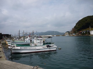 小島漁港2.jpg
