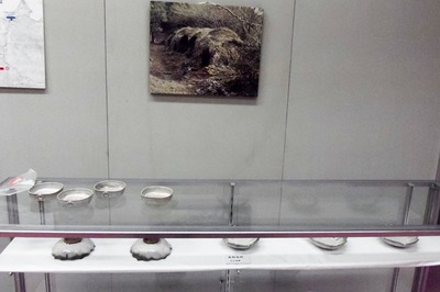 展示品2.jpg