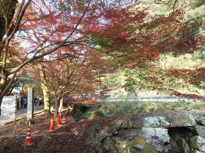 山口県三大奇橋の一つ盤石橋と紅葉.jpg