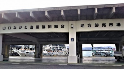 山口県漁協・湊魚市場.jpg