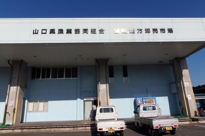 山口県漁業協同組合・仙崎地方卸売市場1.jpg