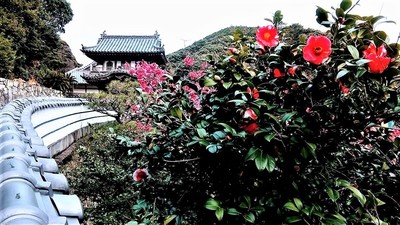 山門と季節の花.jpg