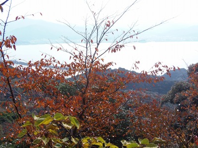 山頂の秋色.jpg