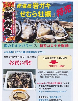 岩ガキ特価販売.jpg