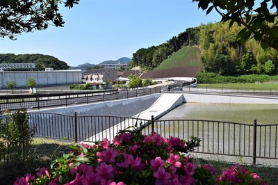 市道ルネッサ仙崎線2.jpg