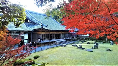 常栄寺本堂と雪舟庭.jpg