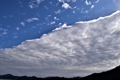 平らな雲2.jpg