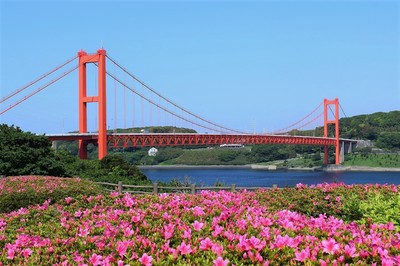 平戸大橋と季節の花.jpg
