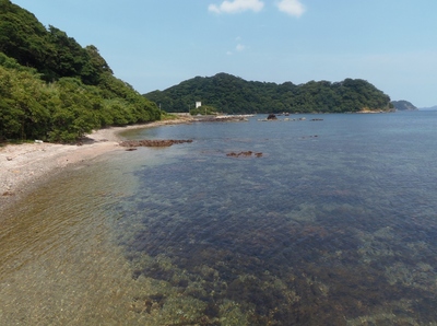 幸島と浜辺.jpg