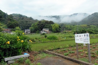幻想的な霧.jpg