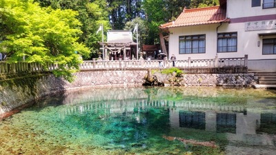 弁天池3.jpg