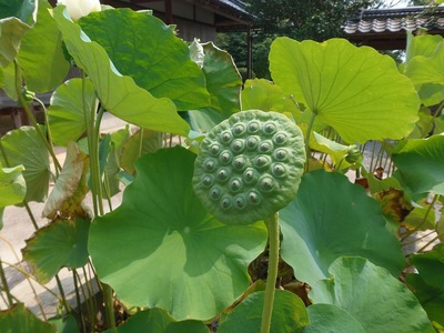 役割全う.jpg