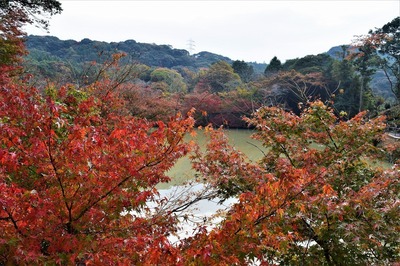 御船山楽園の秋色3.jpg