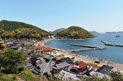 新緑の大日比.jpg