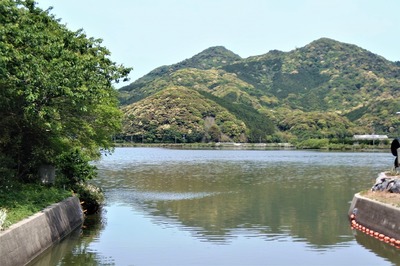 新緑の高山と青海湖1.jpg