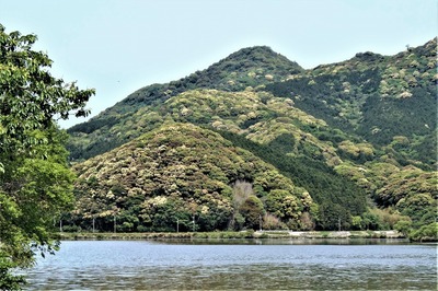 新緑の高山と青海湖2.jpg