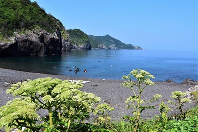 日本の渚百選・青海島・船越の浜.jpg