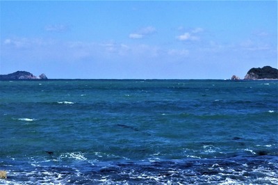 日本海の水平線.jpg