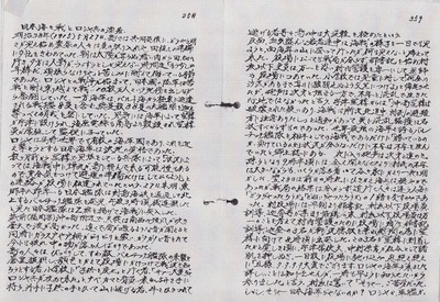 日本海海戦とロシア兵漂着1.jpg
