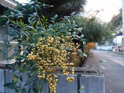 晩秋色4.jpg