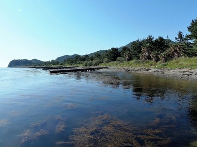 晴れた日の波の橋立海岸.jpg