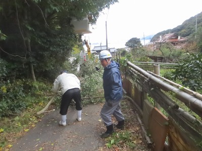 木の伐採2.jpg