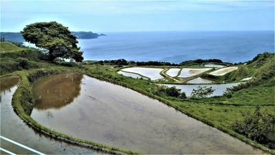 東後畑棚田3.jpg