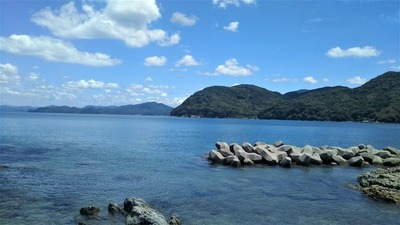 松島の鼻からの眺望3.jpg