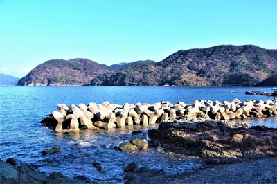 松島海岸.jpg