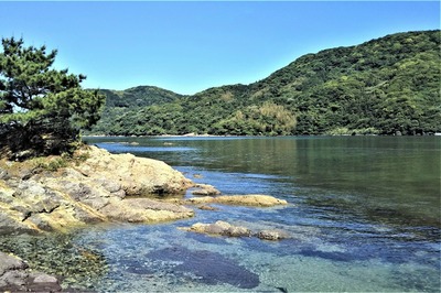松島海岸2.jpg