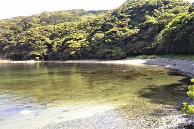 松島海岸3.jpg